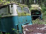 Secret VW junkyard With Volkswagen Bay Window Bus with OG Paint in Great Condition
