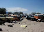 Abandoned VW beetles and squareback wagons in forgotten Volkswagen junkyard