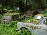Forgotten VW Wrecking Yard With Volkswagen Squareback Wagons