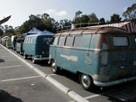 Row of original Volkswagen Kombi buses parked at Octo Meet