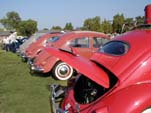 Row of VW Ovals