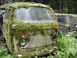 Secret VW Junkyard with Volkswagen Bay Window Bus Being Devoured by Moss!
