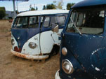 Several Volkswagen T1 Buses in VW Boneyard, Awaiting Restoration