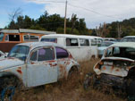 VW Wrecking yard with original bay window buses and vintage beetles