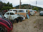 Forgotten VW Wrecking yard