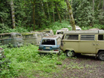 Volkswagen Wrecking Yard With Group of VW Bay Window Bus Westy Campers