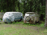 Volkswagen Wrecking Yard with Group of Early Volkswagen Splittie Buses